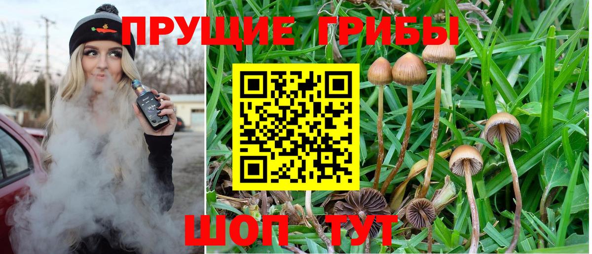 Галлюциногенные грибы ЛСД Когалым